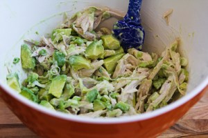chicken-avocado-lime-salad-7-kalynskitchen