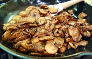 chicken-mushrooms